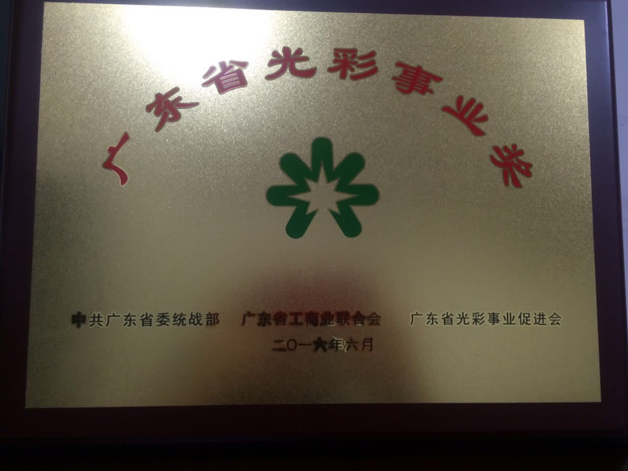 2016广东省光彩事业奖